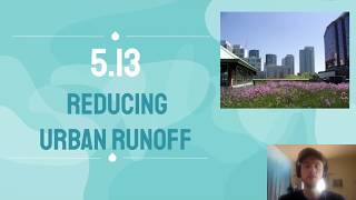 APES Video Notes 513  Reducing Urban Runoff [upl. by Fesoy]