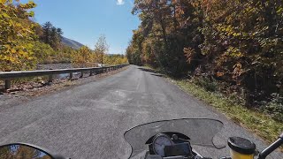 Seizing the Day on Windy Valley Road Forkston Twp PA [upl. by Zacek319]