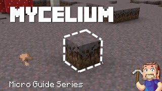 Mycelium  Minecraft Micro Guide [upl. by Dewar302]