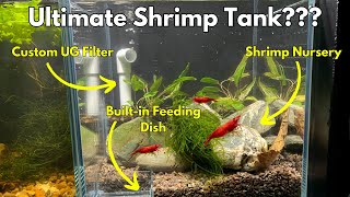 The Ultimate Cherry Shrimp Tank SetUp 🦐 [upl. by Ednargel]