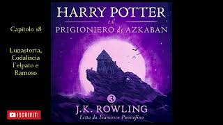 Harry Potter e il Prigioniero di Azkaban Audiolibro Italiano letto da Francesco Pannofino Capitolo18 [upl. by Amend]