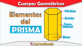 🔷ELEMENTOS DEL PRISMA  PARTES DEL PRISMA  ¿Cuáles son los elementos de los prismas  SÚPER FÁCIL [upl. by Tevis756]