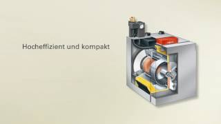 Viessmann Vitoladens 300 C [upl. by Guzel]