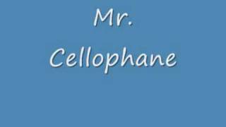 Chicago Mr Cellophane Lyricswmv [upl. by Templa133]