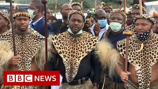 New Zulu king crowned in South Africa despite family feud  BBC News [upl. by Ayhdnas]