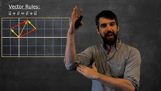 Vector Spaces  Definition amp Examples [upl. by Shull645]