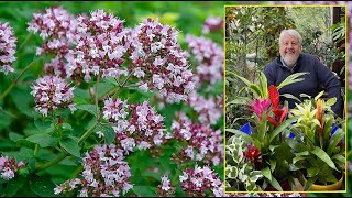 ORIGAN ET MARJOLAINE PLANTES AROMATIQUES AUX SUBTILES SAVEURS D’ITALIE Le Quotidien du Jardin N°324 [upl. by Aseefan518]