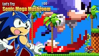 SONICS A MONSTER Lets Try Sonic 1 Mega Mushroom Edition [upl. by Sudbury]