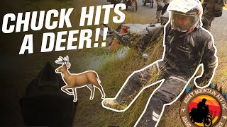 Chuck HITS a DEER on a Motorcycle  Part 4 RMATVMC Idaho Motorcycle Adventure Ride [upl. by Anaoy]