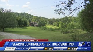 Search continues after reported tiger sightings in Knoxville [upl. by Micheline]