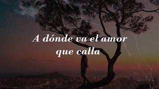 A Dónde Va El Amor 🎶 Ricardo Montaner  Letra [upl. by Osnola714]