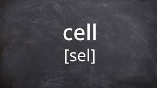 CELL Pronunciation in American English [upl. by De969]