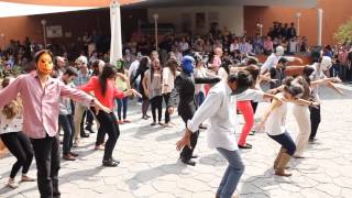 Flashmob Thriller [upl. by Ramsden]