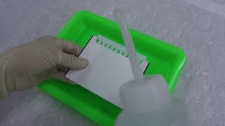 32 Demonstration of protein gel electrophoresis SDSPAGE [upl. by Ayimat]