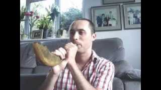 Shofar blowing 101 [upl. by Jahdal]