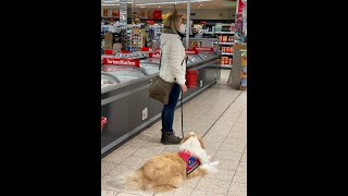 PTBSAssistenzhund Trainingsstunde im Supermarkt usw Beitrag für das NDR [upl. by Anitnatsnok]