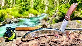 REMOTE Mountain TROUT FISHING 4Day Catch Cook Camp [upl. by Ahsieyn]