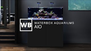 Waterbox Aquariums AIO Overview [upl. by Ynoyrb529]