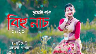 Bihu Dance  বিহু নাচ  Pujashree Gogoi পূজাশ্ৰী গগৈ  Folk Dance of Assam [upl. by Isabeau632]