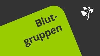 Wie werden die Blutgruppen AB0 und der Rhesusfaktor vererbt  Biologie  Genetik [upl. by Ayeki895]