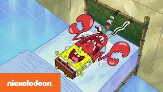 SpongeBob SquarePants  KrabBob PlanktonPants  Nickelodeon [upl. by Herzen]