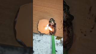 Teeth brush on fire satisfying shorts [upl. by Aidole]