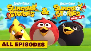 Slingshot Hunting । Hunting Big Birds with Slingshot [upl. by Ileane]