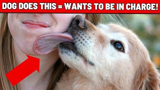 8 Crazy Signs Your Dog Thinks THEY Are The Boss THIS IS THE MOST ACCURATE VIDEO ON DOGS EVER [upl. by Ann-Marie]