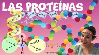 Las ProteÃ­nas  2Âº de Bachiller BioESOsfera [upl. by Fritzie]