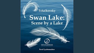 Swan Lake Op 20 Scene by a Lake [upl. by Eronaele]