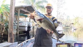 2019 Bassmaster Elite Series at St Johns River [upl. by Milson14]