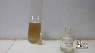 Silver Nitrate and Sodium Thiosulphate [upl. by Kirima]