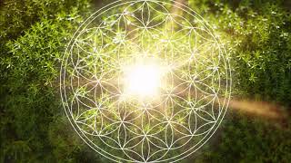 528 Hz Heart Chakra Regeneration  Repair amp Heal The Heart Chakra  Open amp Balance ANAHATA Chakra [upl. by Ehr806]