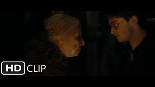 Godrics Hollow Part 2  Harry Potter and the Deathly Hallows Part 1 [upl. by Redd]