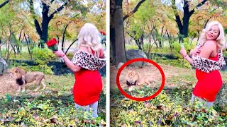 Woman Climbs Into Lion Enclosure at Bronx Zoo [upl. by Lothair]