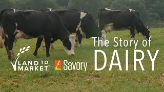 The Story of Dairy  Regenerative Agriculture Documentary [upl. by Glennie]