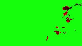 3D Falling Petals Green Screen Rose Petals 720P [upl. by Enialedam]