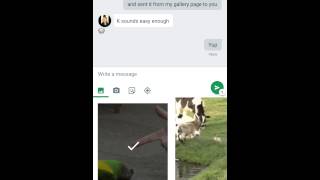 How To Insert GIFs in Google Hangouts App Android [upl. by Krenn978]