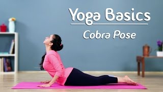 Cobra Pose – Step By Step  Bhujangasana  Yoga For Beginners  Yoga With AJ [upl. by Hilary]