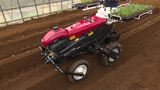 YANMAR  VEGETABLE TRANSPLANTER PH1A [upl. by Griffith]