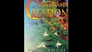 Dr Carl Baugh  Panorama Of Creation Session [upl. by Ynatil271]