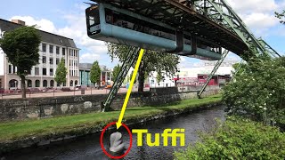 Elefant Tuffi  Wuppertal Schwebebahn  Tuffi amp suspension railway [upl. by Irwinn517]