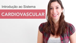 Sistema Cardiovascular 16 Introdução  Anatomia e etc [upl. by Noscire329]