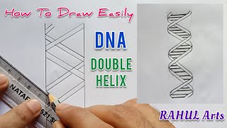 How to draw DNA double helix structure [upl. by Arreit809]