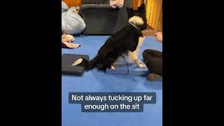 Training Sit to Foldback Down [upl. by Onitsoga]