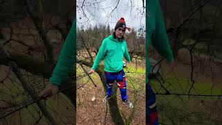 treenet treeweb spacenet net web spider paracord treehouse climb adventure [upl. by Doro164]