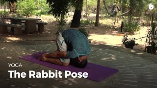 Learn the Rabbit Pose  Shashankasana  Yoga [upl. by Ecinaej]