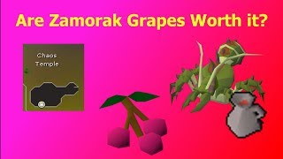 OSRS Are Zamorak Grapes Efficient for Ironman [upl. by Youngran66]