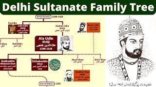 Family Tree of Delhi Sultanate  Did they capture whole India [upl. by Jehu749]