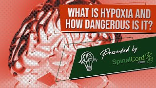 Hypoxia Definition Causes Symptoms and Treatment What is hypoxia and how dangerous is it [upl. by Queridas825]